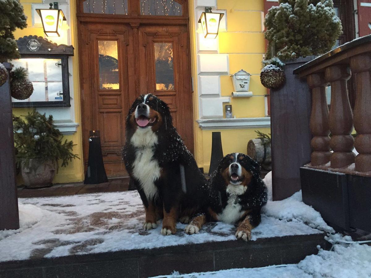Hotel Gasthof Post Bruck an der Grossglocknerstrasse Luaran gambar